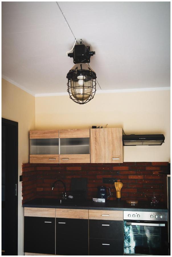 Domki Loft Park Apartment Skape Екстериор снимка
